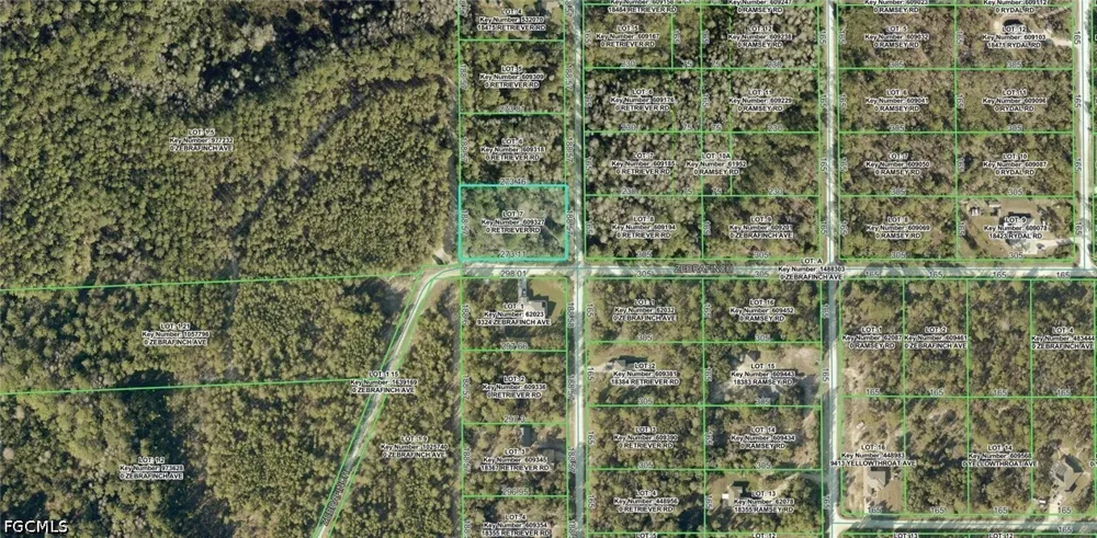 Retriever Road Weeki Wachee, FL 34614