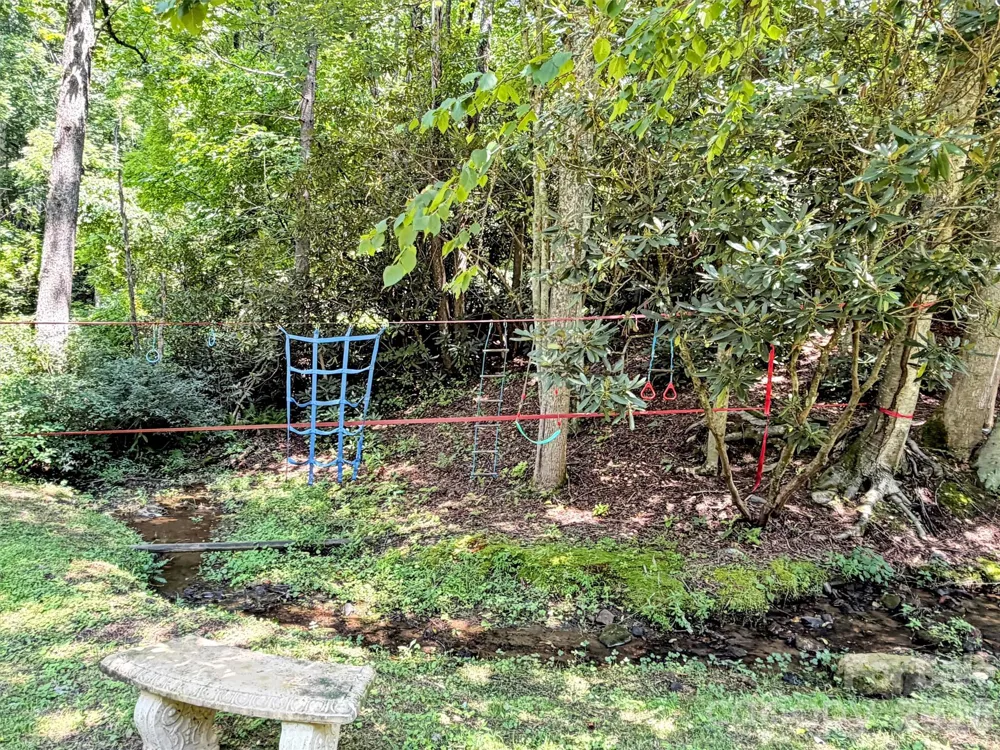169 Roadrunner Drive Balsam, NC 28707
