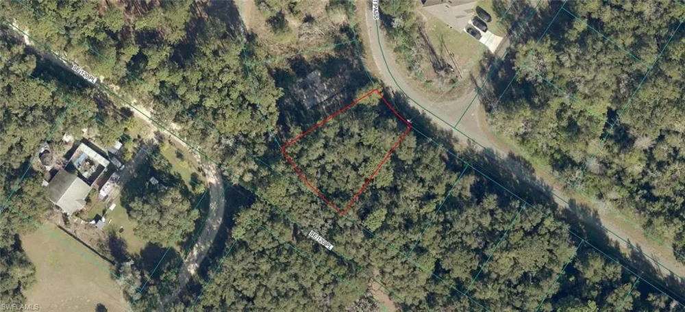 9042 Baycourt PASS Ocklawaha, FL 32179