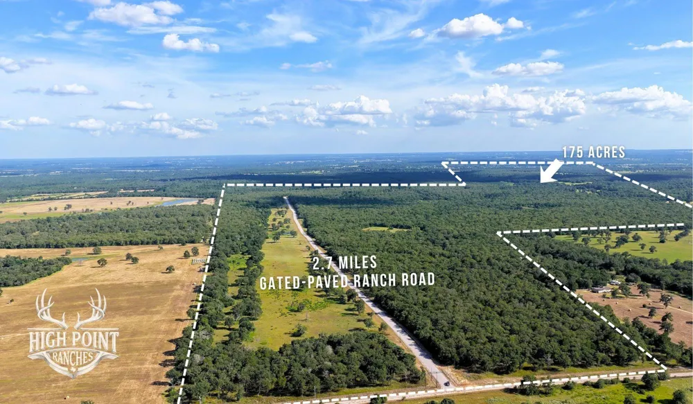 Ranch Road Off Cr 405 - 175 Acres Lexington, TX 78947