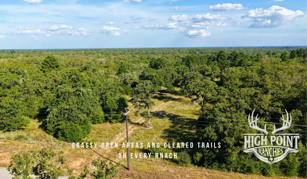 Ranch Road Off Cr 405 - 175 Acres Lexington, TX 78947