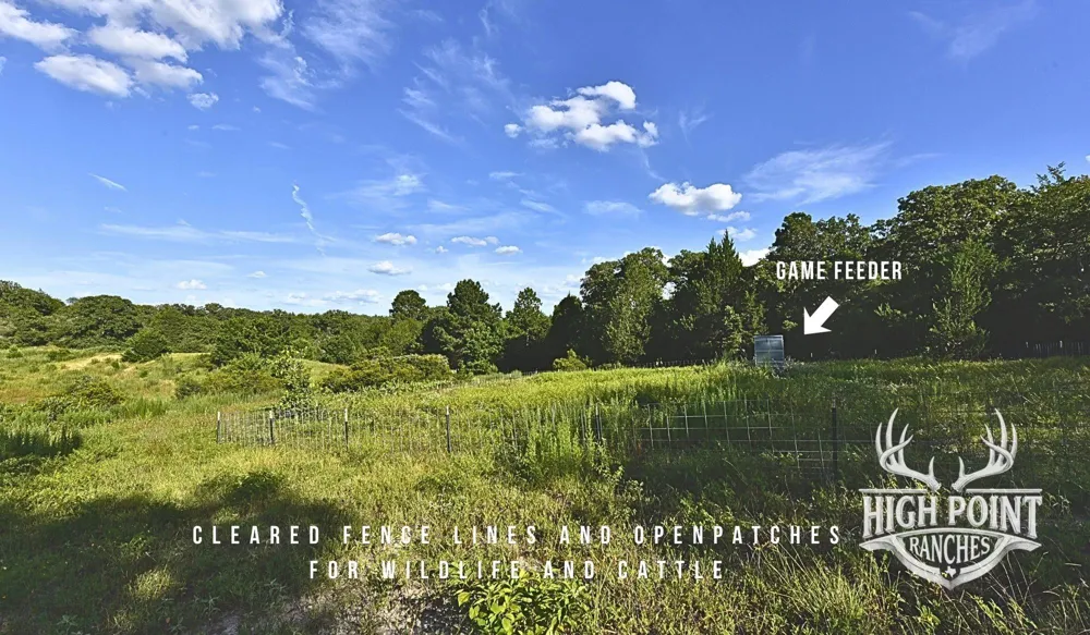Ranch Road Off Cr 405 - 175 Acres Lexington, TX 78947