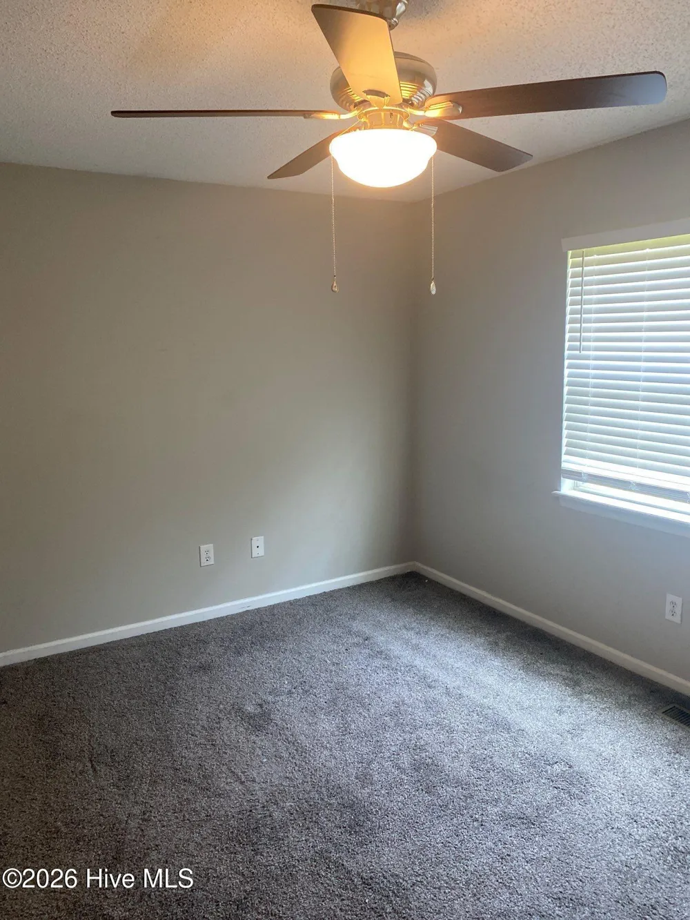 2007 River Drive #A Greenville, NC 27858