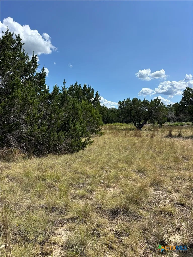 14612 Honeycomb Drive Leander, TX 78641