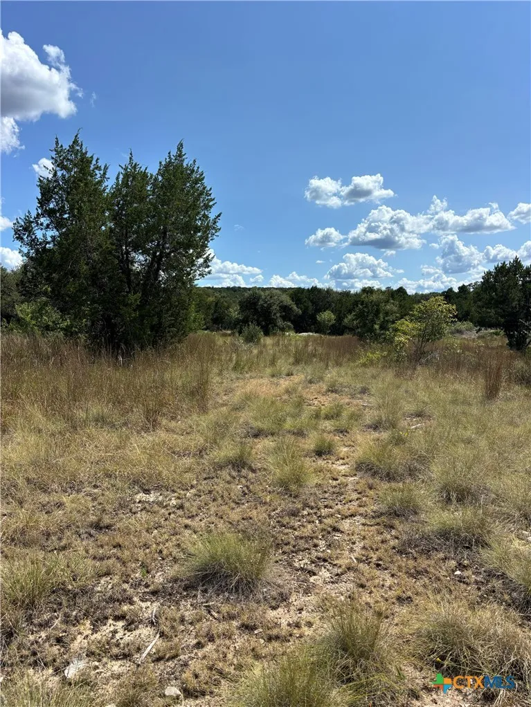 14612 Honeycomb Drive Leander, TX 78641