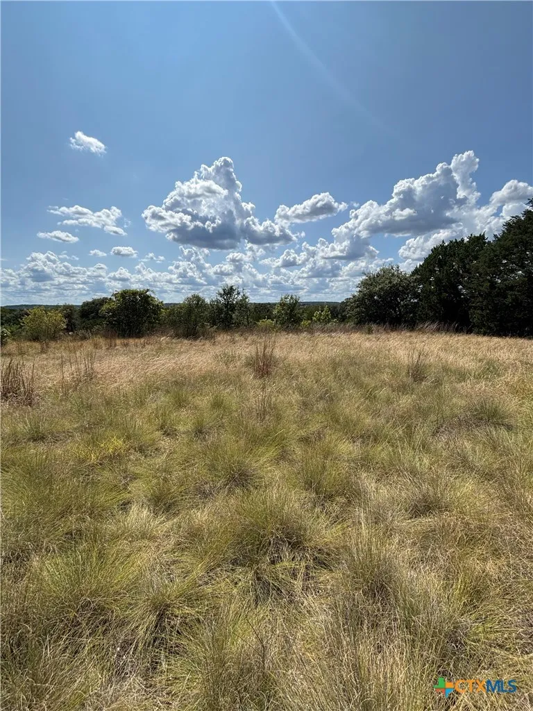 14612 Honeycomb Drive Leander, TX 78641
