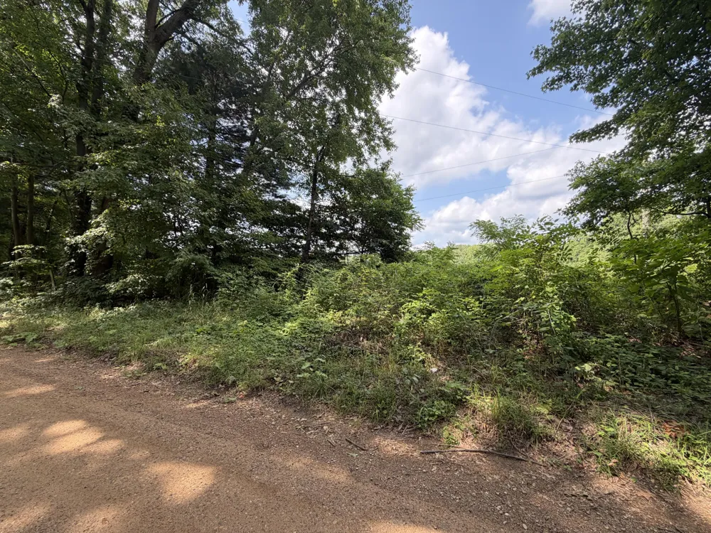 56th Street Decatur, MI 49045