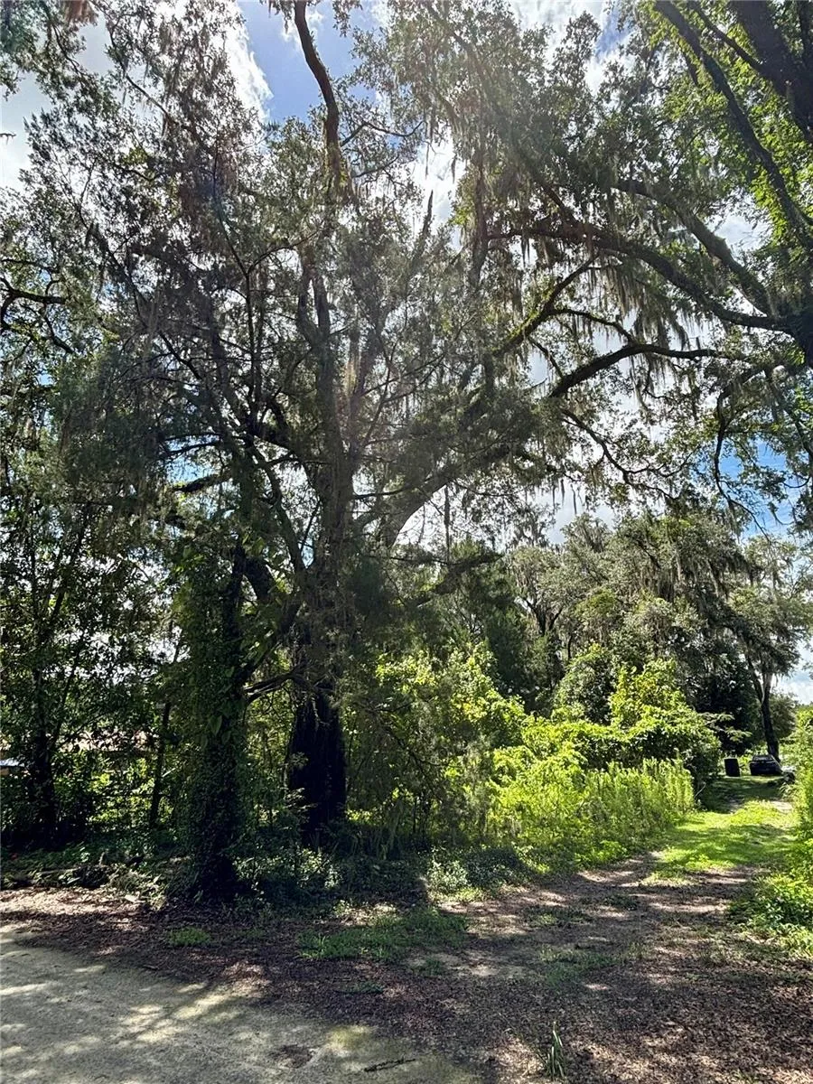 Lot 28 SW 109 LANE Dunnellon, FL 34432