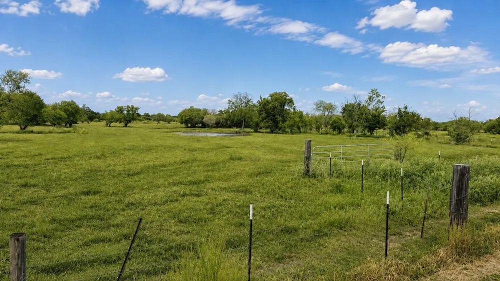 13550 Moody Road Needville, TX 77461
