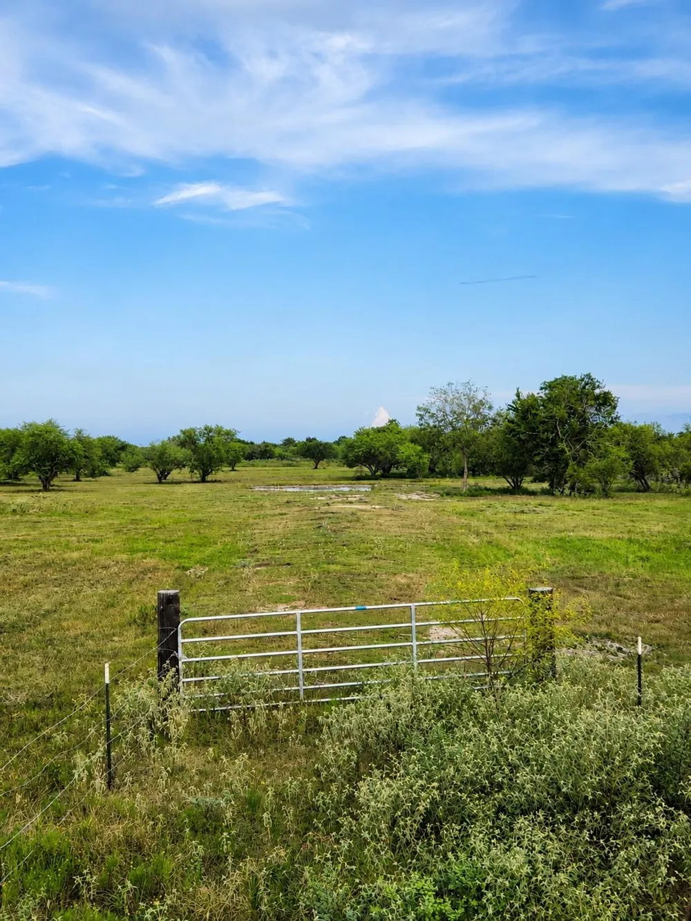 13550 Moody Road Needville, TX 77461