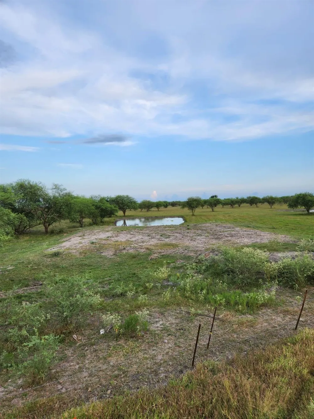 13550 Moody Road Needville, TX 77461