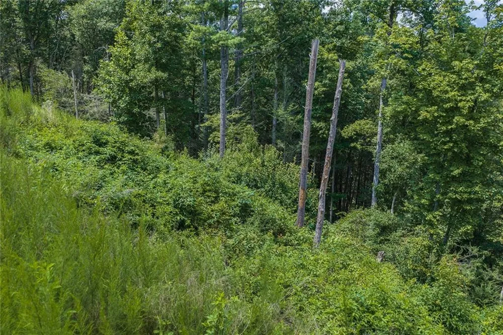0 Hicks Ford Road Ellijay, GA 30540