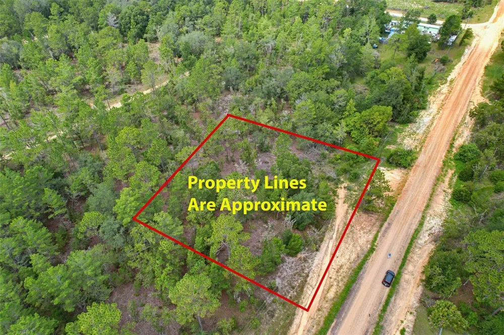515 INTERLACHEN BOULEVARD Interlachen, FL 32148