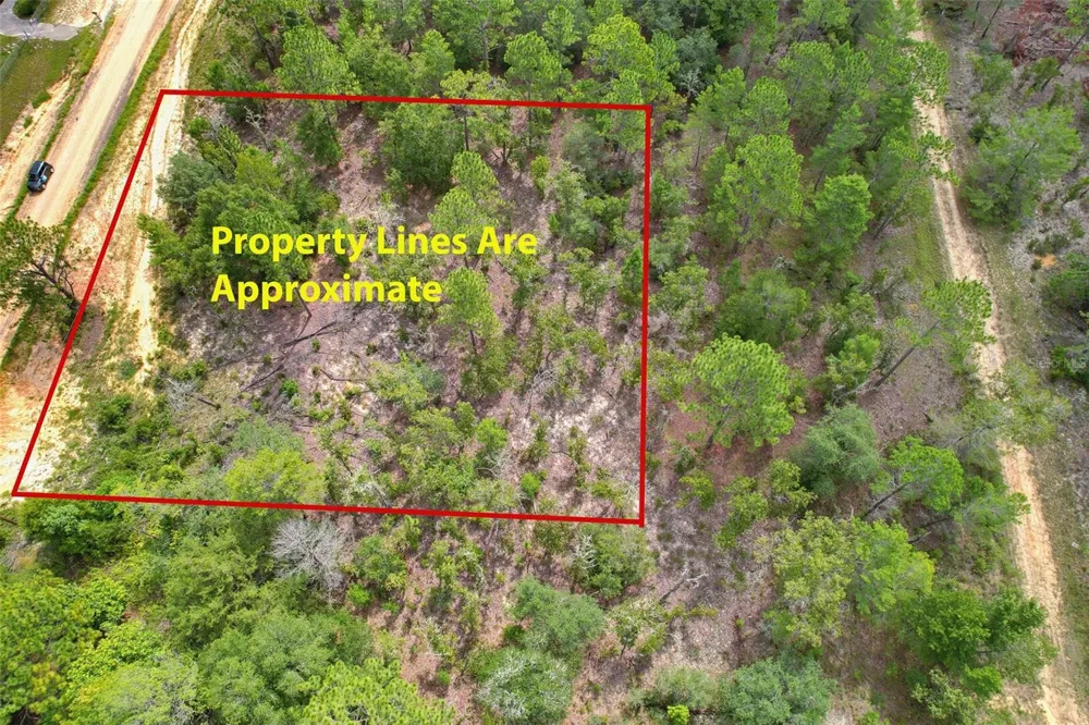515 INTERLACHEN BOULEVARD Interlachen, FL 32148