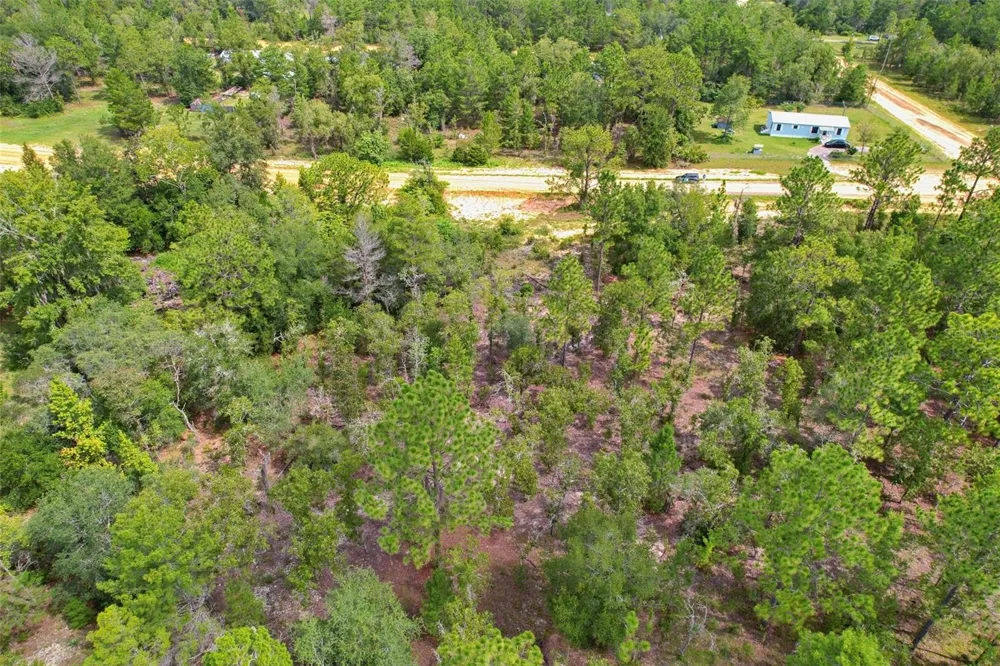 515 INTERLACHEN BOULEVARD Interlachen, FL 32148