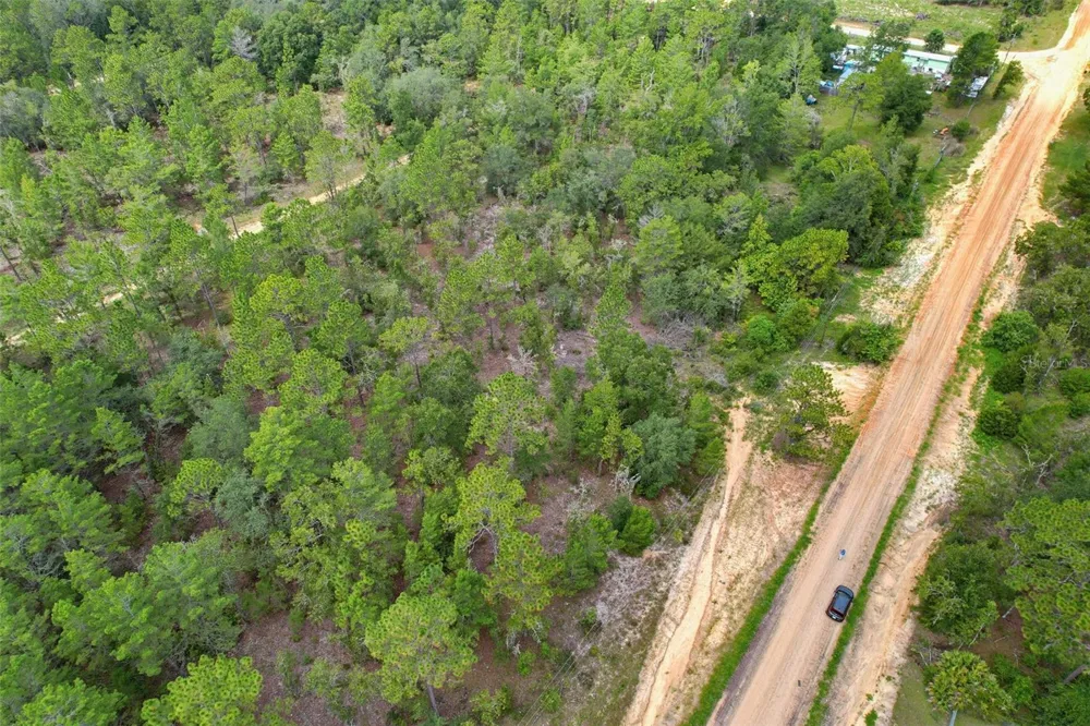 515 INTERLACHEN BOULEVARD Interlachen, FL 32148