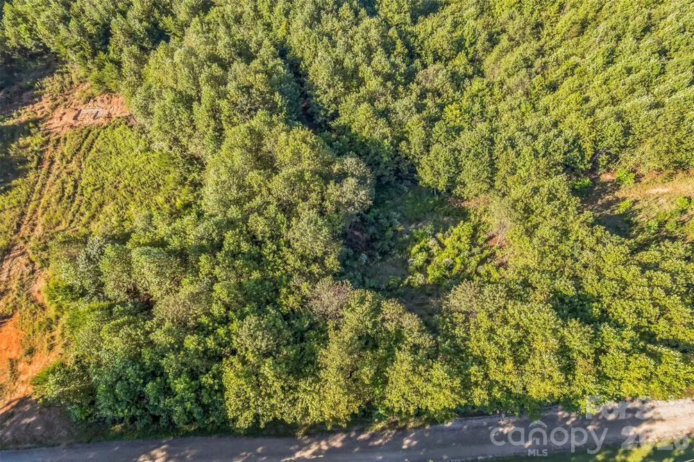 307 RC ROAD Traphill, NC 28685