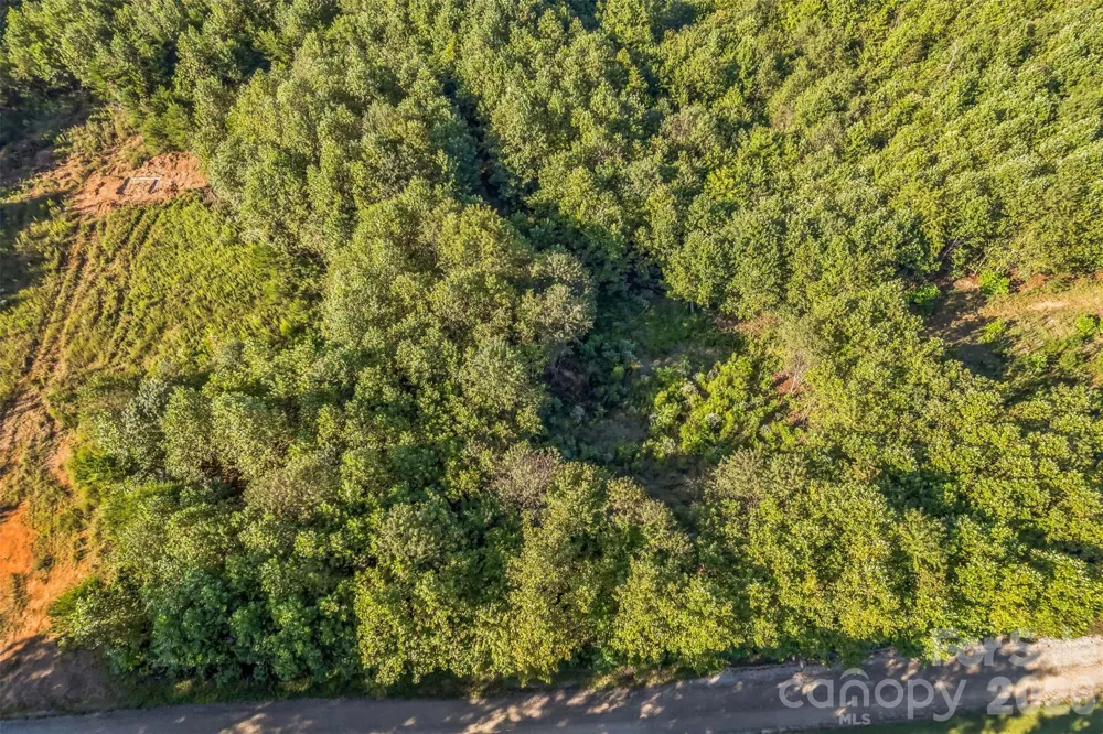 307 RC ROAD Traphill, NC 28685