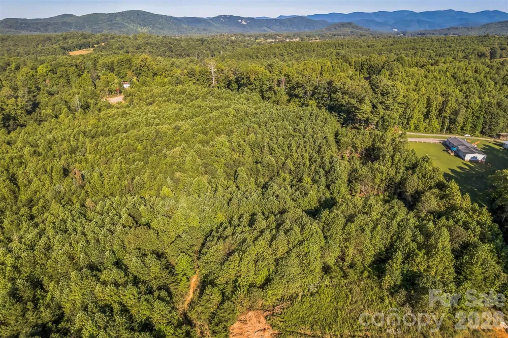 307 RC ROAD Traphill, NC 28685