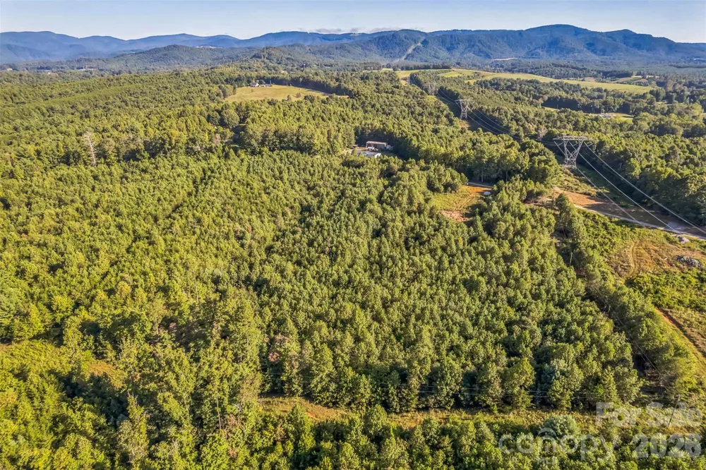 307 RC ROAD Traphill, NC 28685