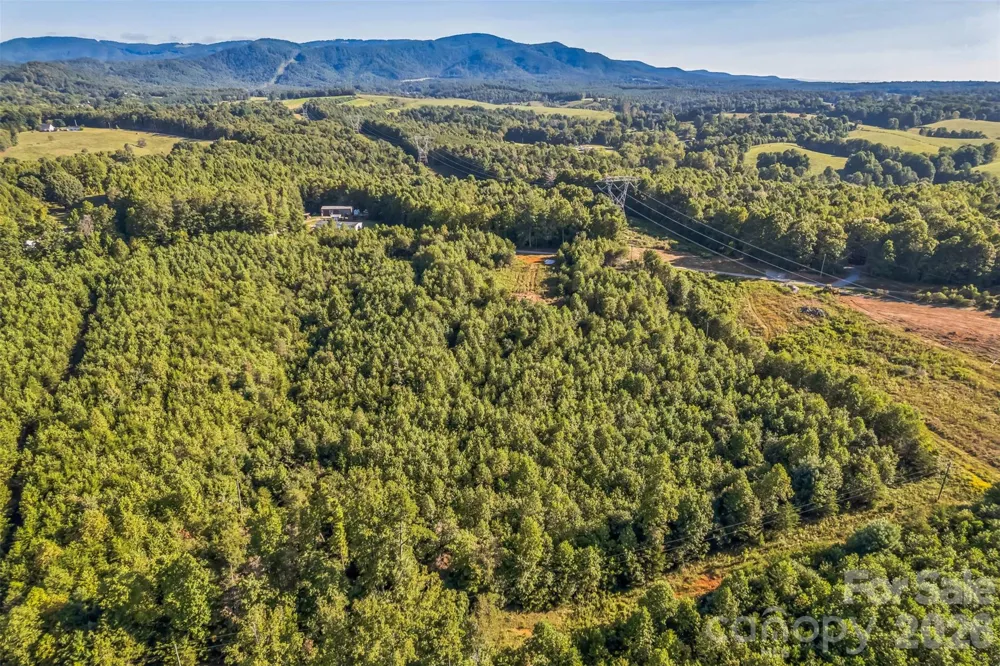 307 RC ROAD Traphill, NC 28685