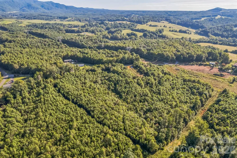 307 RC ROAD Traphill, NC 28685