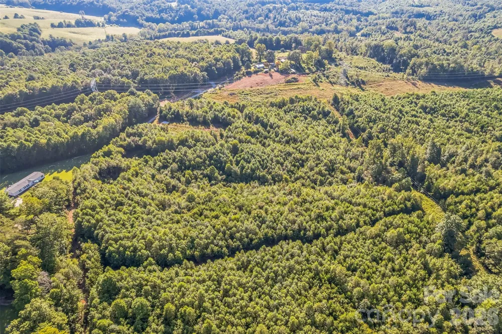 307 RC ROAD Traphill, NC 28685