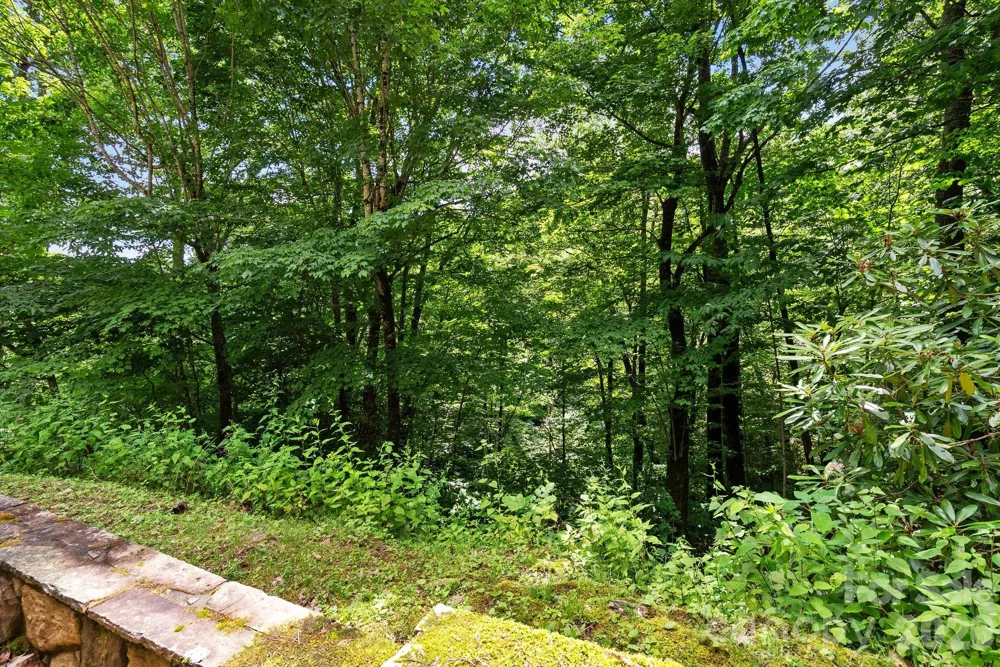 100 Moonshineholler Drive Maggie Valley, NC 28751