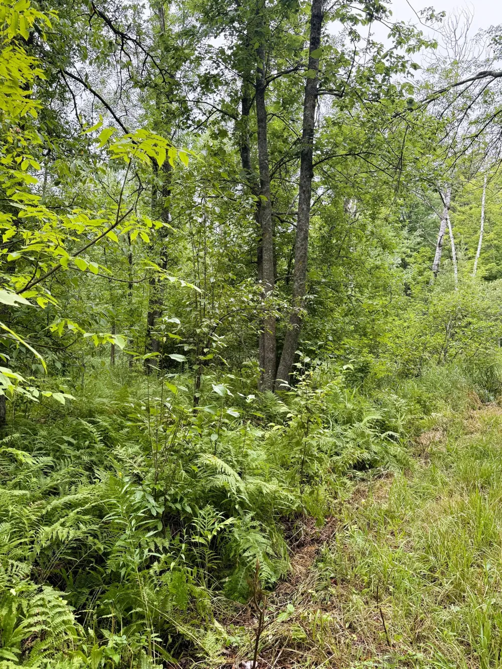 5080 Tower Road Moose Lake, MN 55767