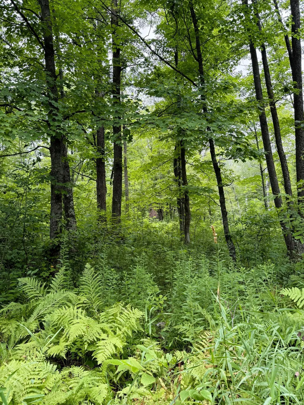 5080 Tower Road Moose Lake, MN 55767