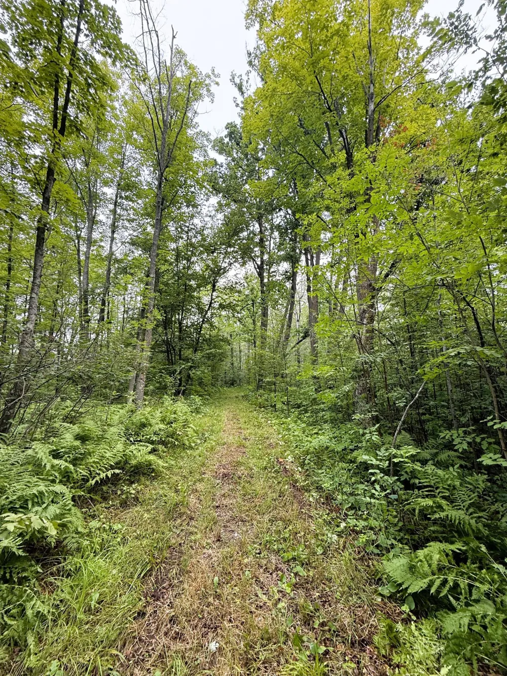 5080 Tower Road Moose Lake, MN 55767
