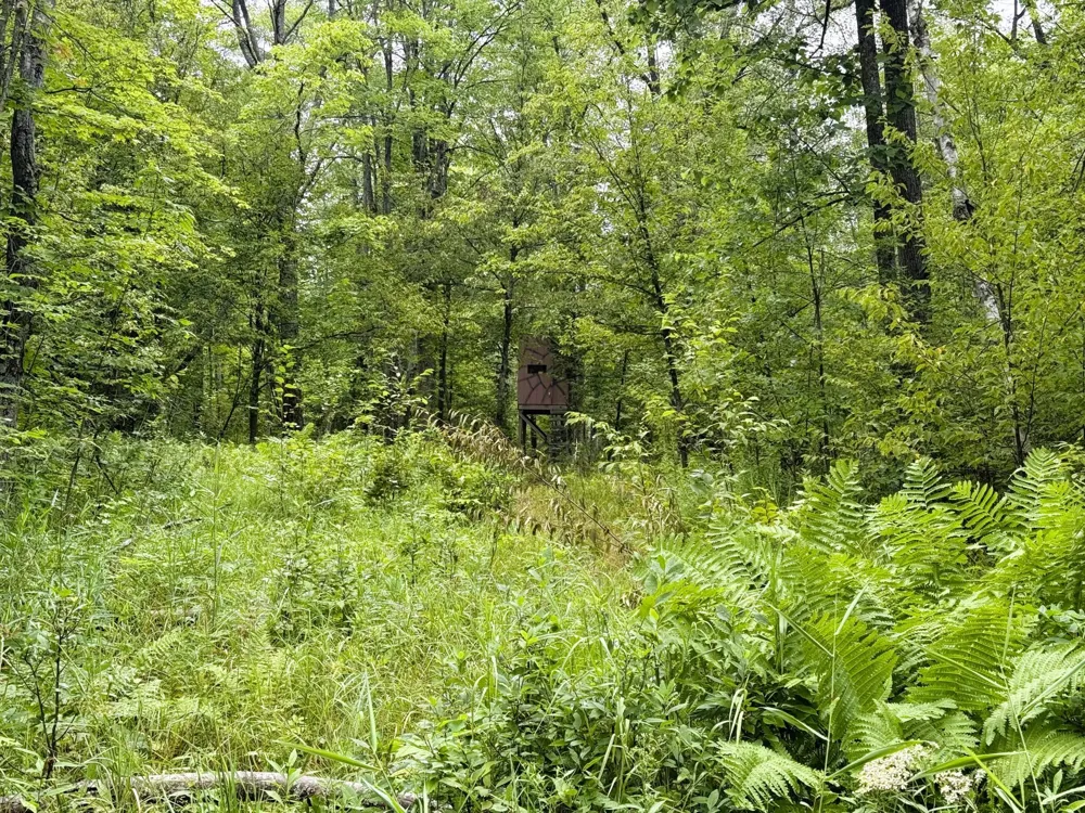 5080 Tower Road Moose Lake, MN 55767