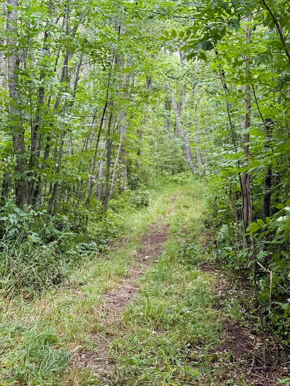 5080 Tower Road Moose Lake, MN 55767