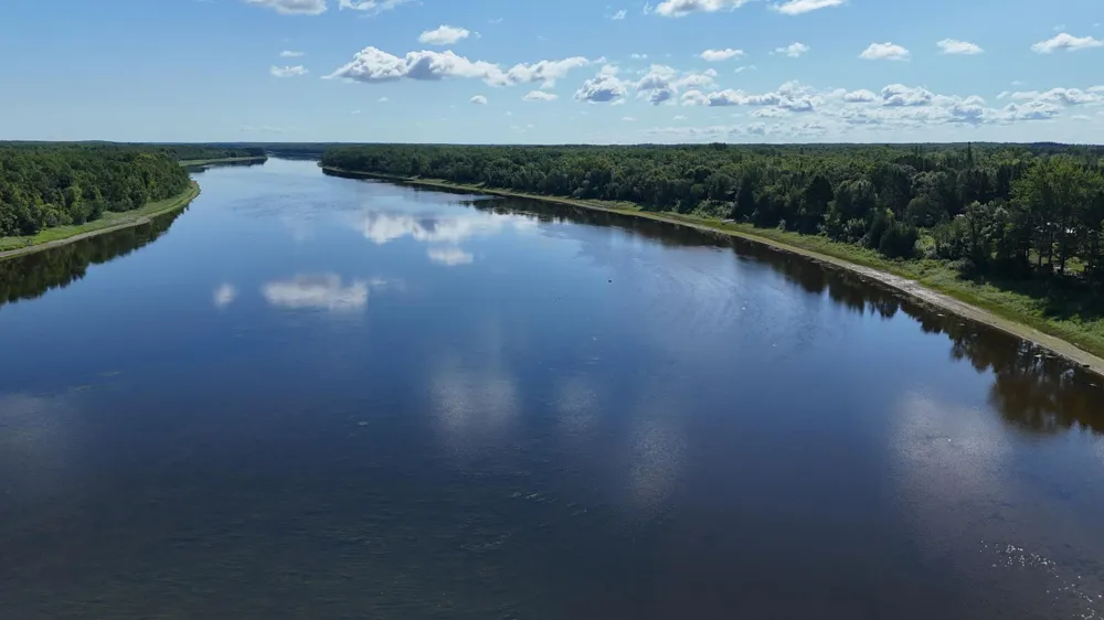 TBD Lot #3 Town Road 207 International Falls, MN 56649