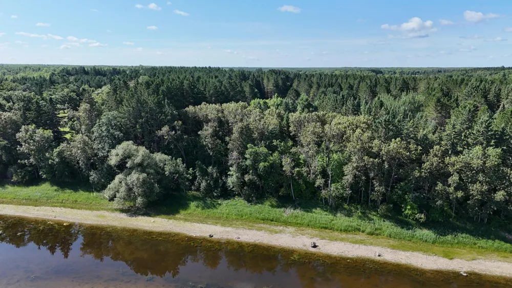 TBD Lot #3 Town Road 207 International Falls, MN 56649