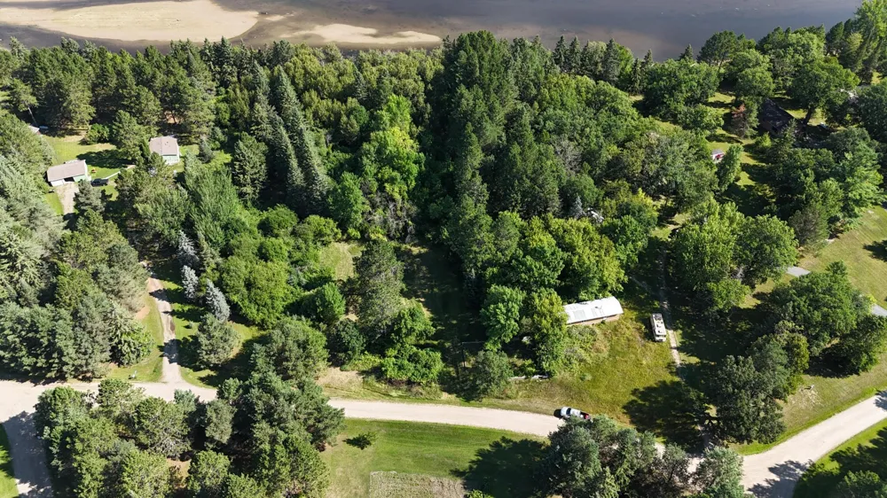 TBD Lot #3 Town Road 207 International Falls, MN 56649