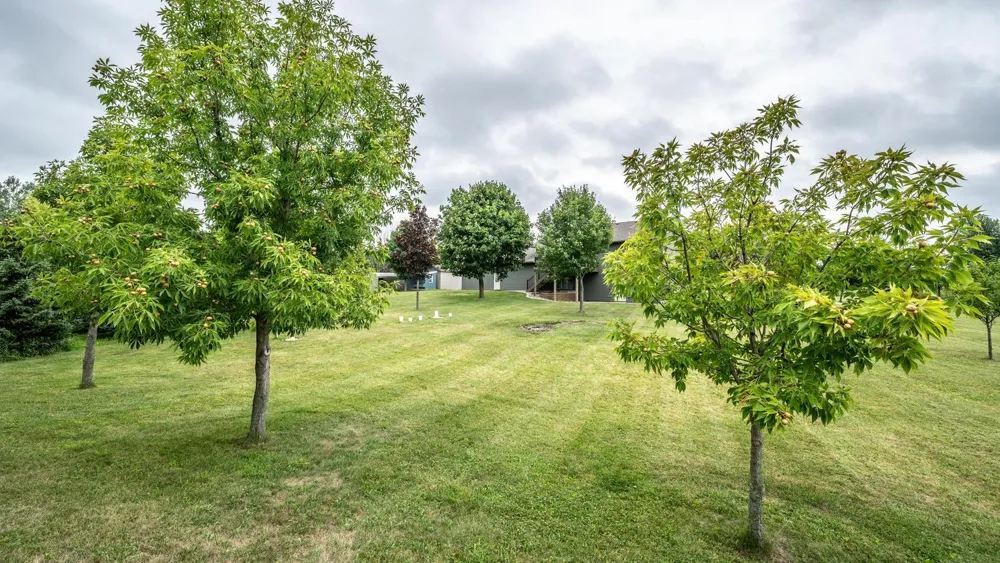 11100 Dupont Court Elko New Market, MN 55020
