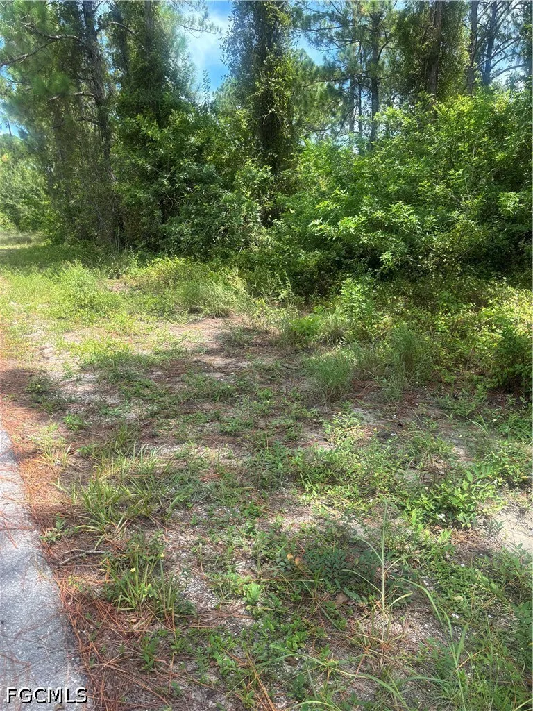 Jackson Avenue Alva, FL 33920