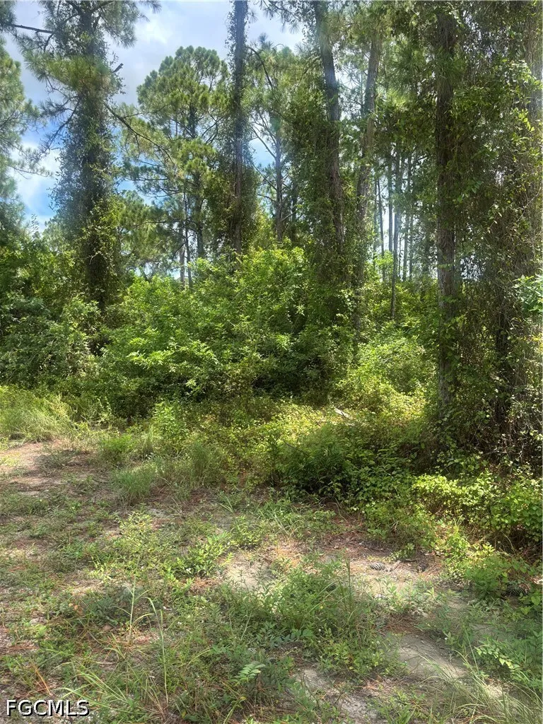 Jackson Avenue Alva, FL 33920