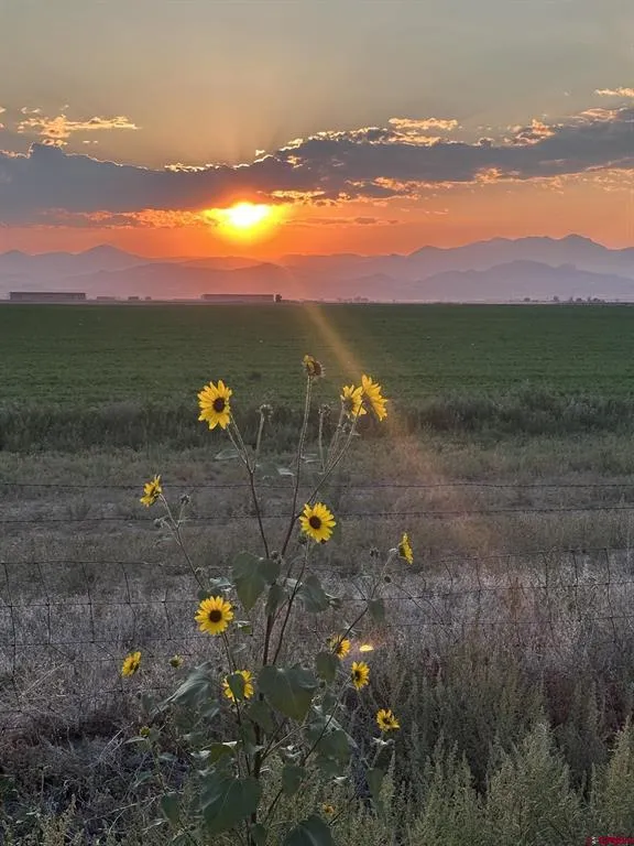 2218 County Road 43 Del Norte, CO 81132