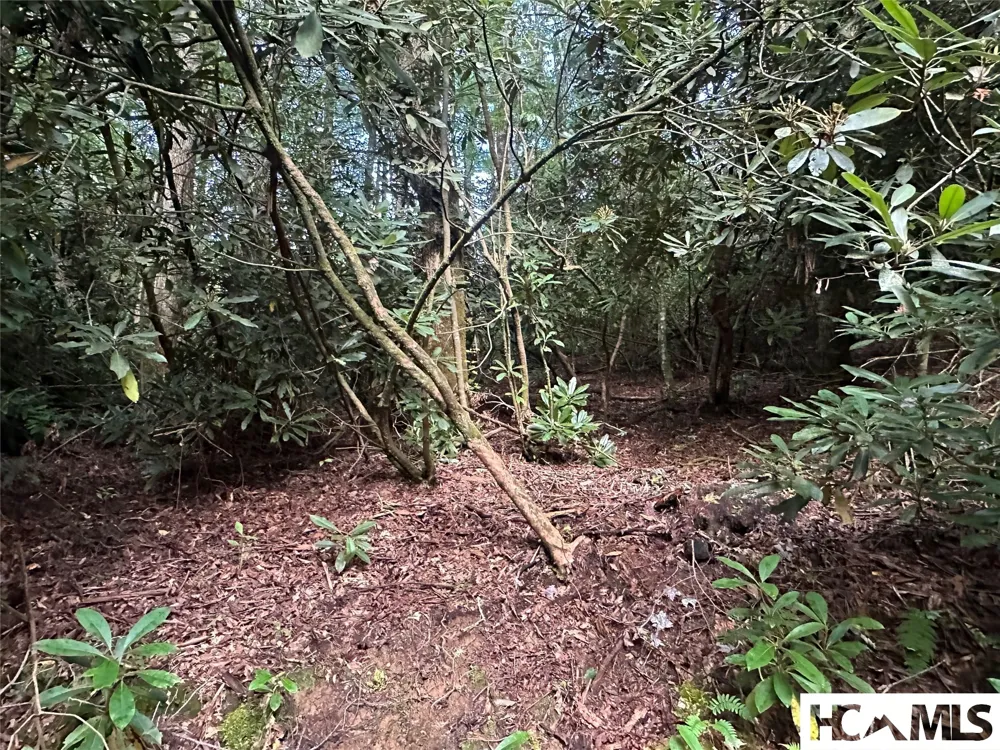 Lot 16 Toxaway Falls Drive Lake Toxaway, NC 28747