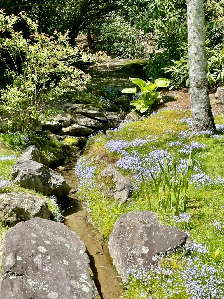 72 Moonlight Lane Highlands, NC 28741