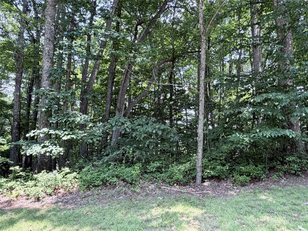 51 Storyteller Trail Glenville, NC 28736