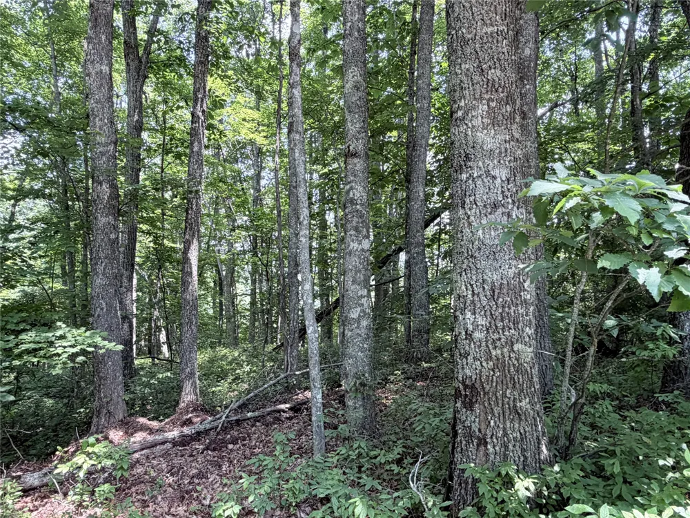 51 Storyteller Trail Glenville, NC 28736