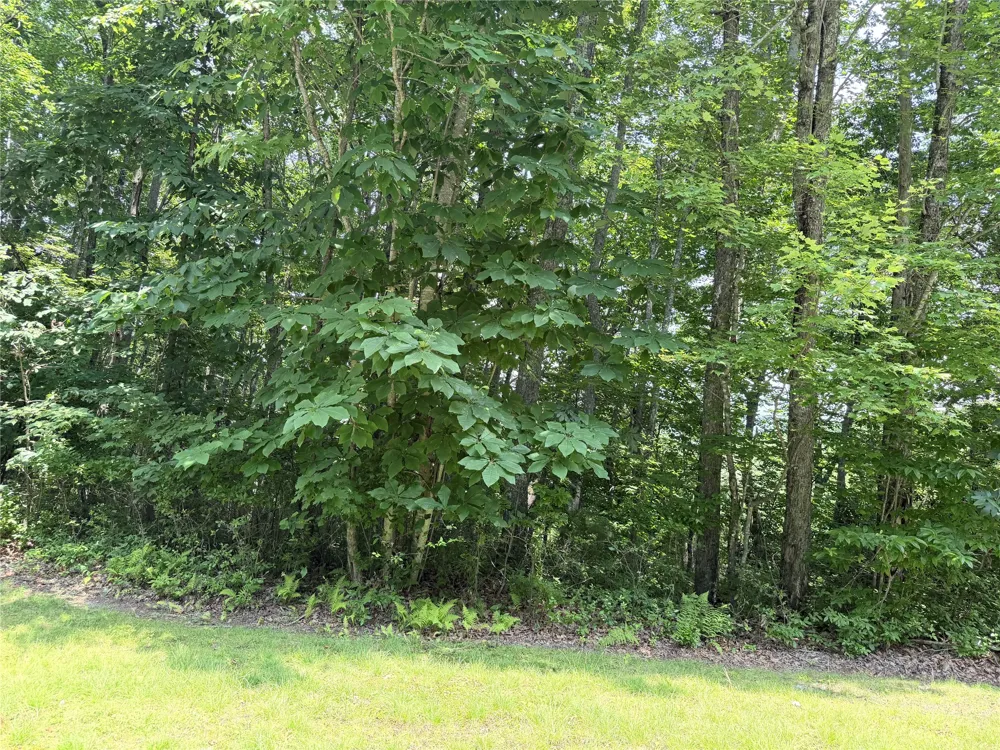 51 Storyteller Trail Glenville, NC 28736
