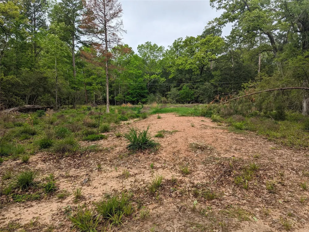 129 S Post Oak Point Trinity, TX 75862