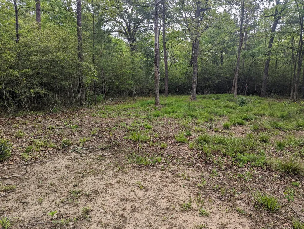 129 S Post Oak Point Trinity, TX 75862