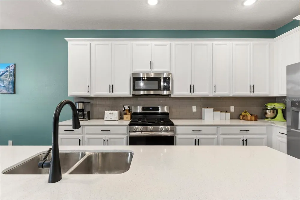 2527 NATOMA BOULEVARD Mount Dora, FL 32757
