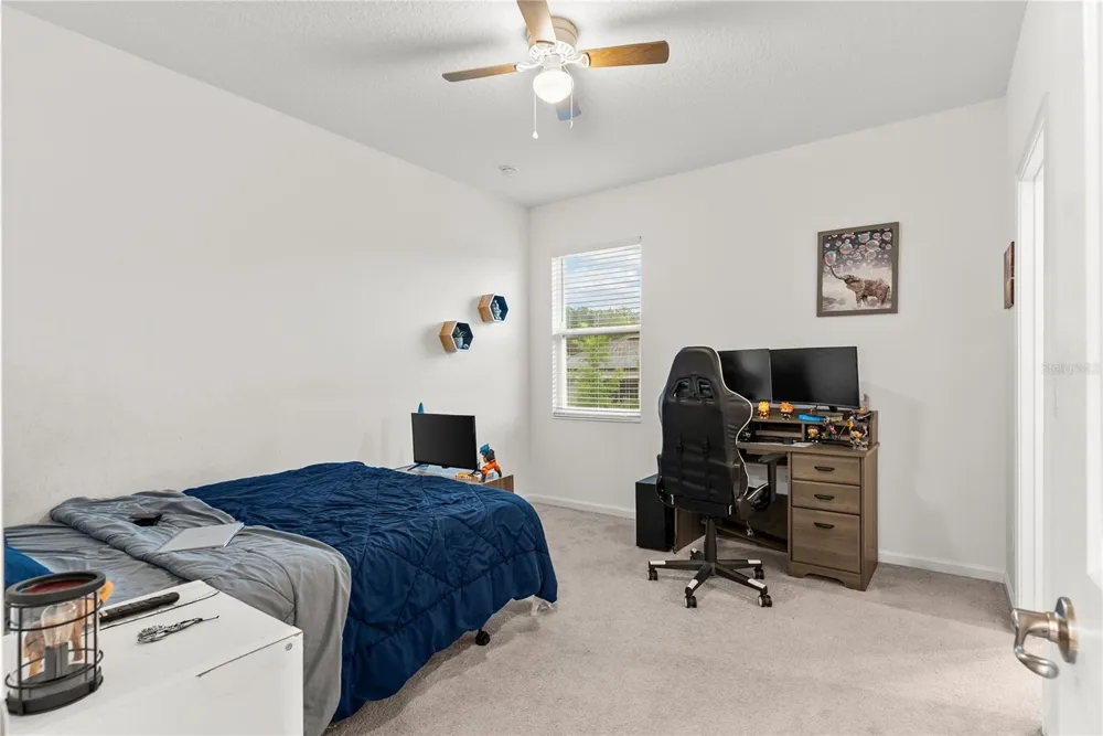 2527 NATOMA BOULEVARD Mount Dora, FL 32757
