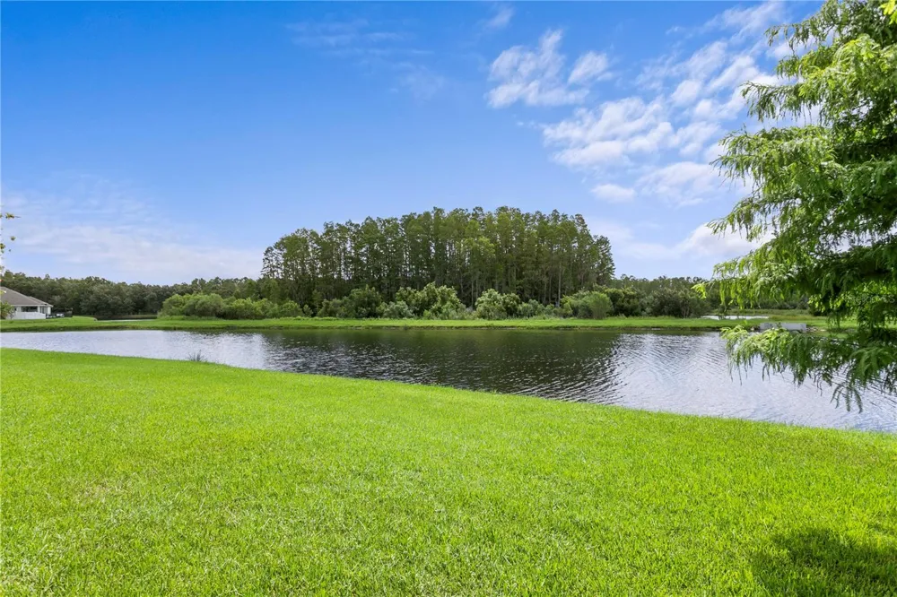 2160 SECRET COVE Odessa, FL 33556